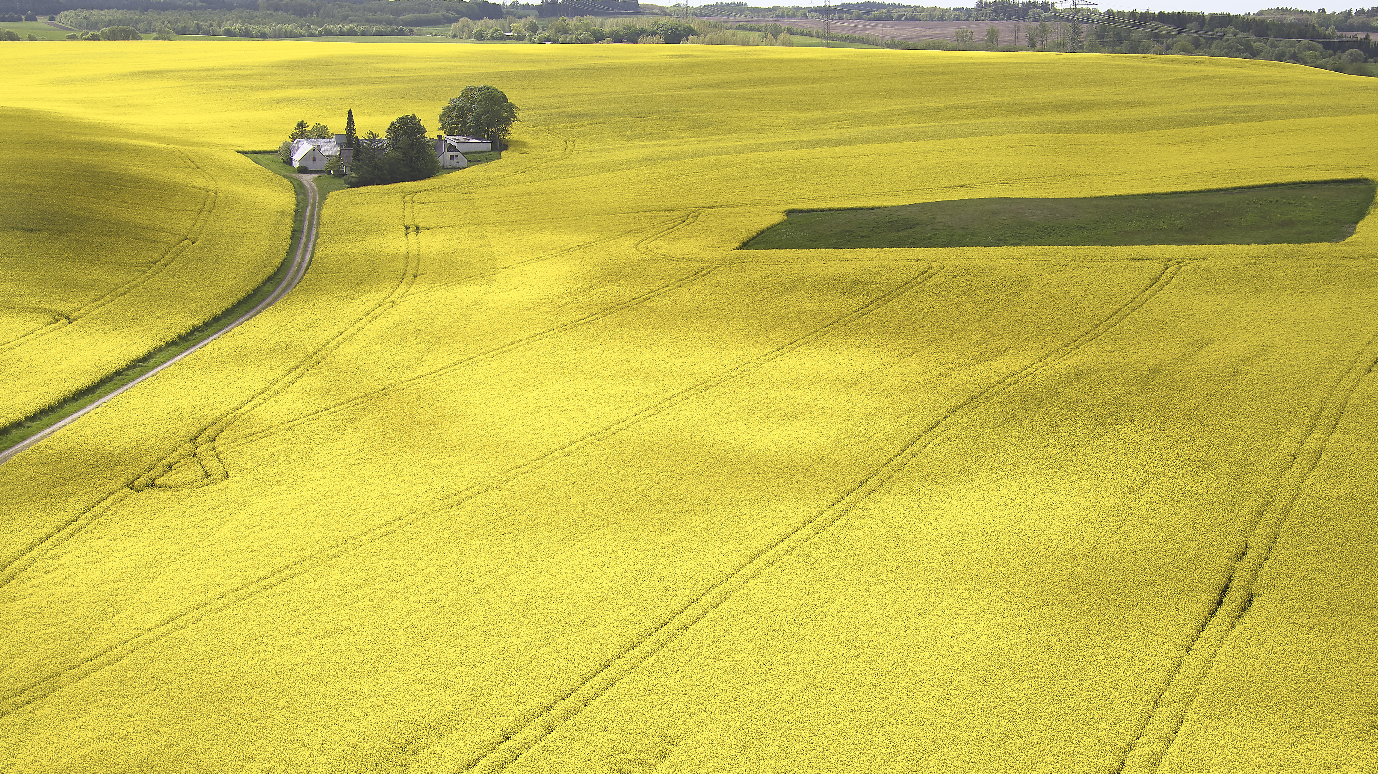 Ingen arrangementer at vise