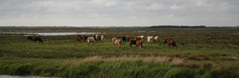 Tjek om de nye Natura 2000-arealer rammer dig