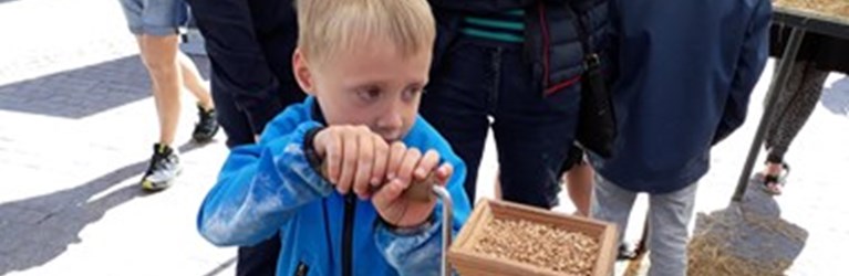 Lokale landmænd vil skabe liv i byen